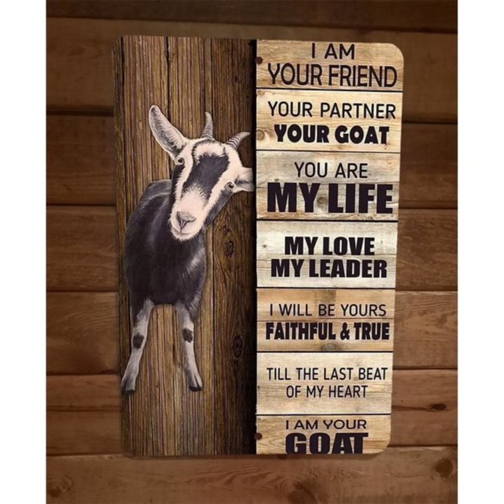 I am Your Goat Friend 8x12 Metal Wall Sign Animal Poster